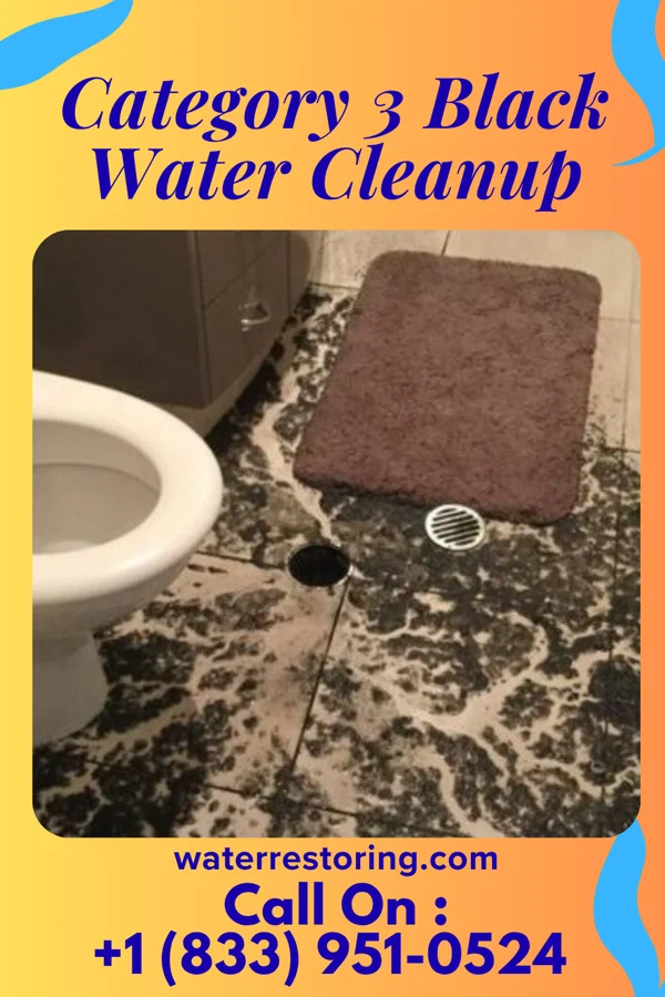 Category 3 Black Water Cleanup in Rolfe, IA